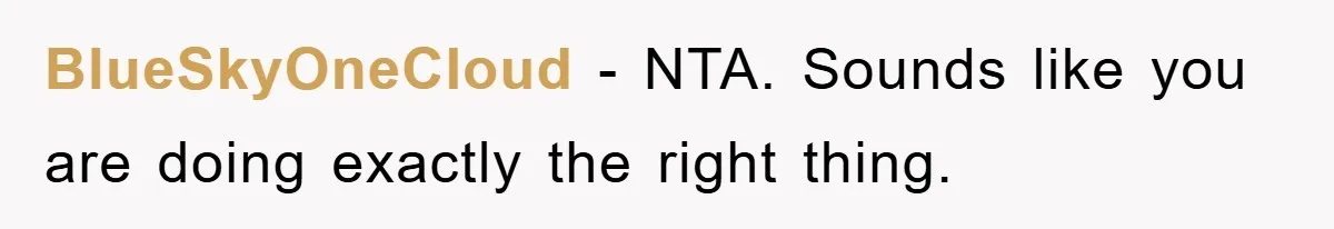 BlueSkyOneCloud − NTA. Sounds like you are doing exactly the right thing.