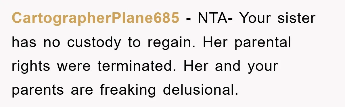 CartographerPlane685 − NTA- Your sister has no custody to regain. Her parental rights were terminated. Her and your parents are freaking delusional.