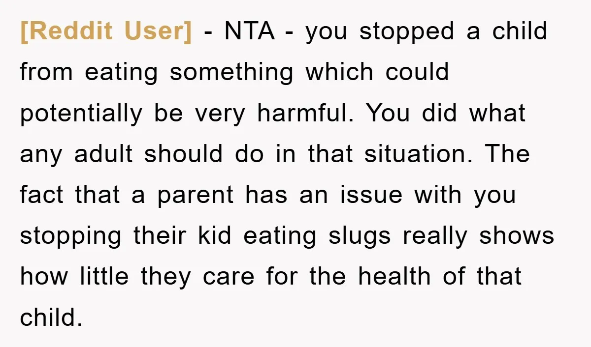 [Reddit User] − NTA - you stopped a child from eating something which could potentially be very harmful. You did what any adult should do in that situation. The fact...