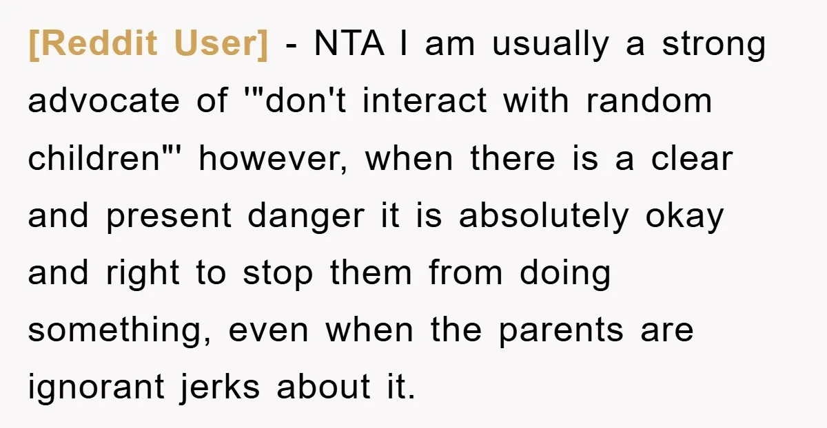 [Reddit User] − NTA I am usually a strong advocate of '"don't interact with random children"' however, when there is a clear and present danger it is absolutely okay and...