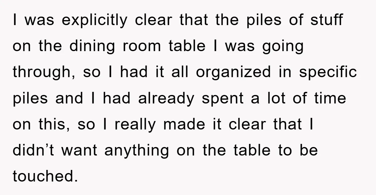 I was explicitly clear that the piles of stuff on the dining room table I was going through, so I had it all organized in specific piles and I had...