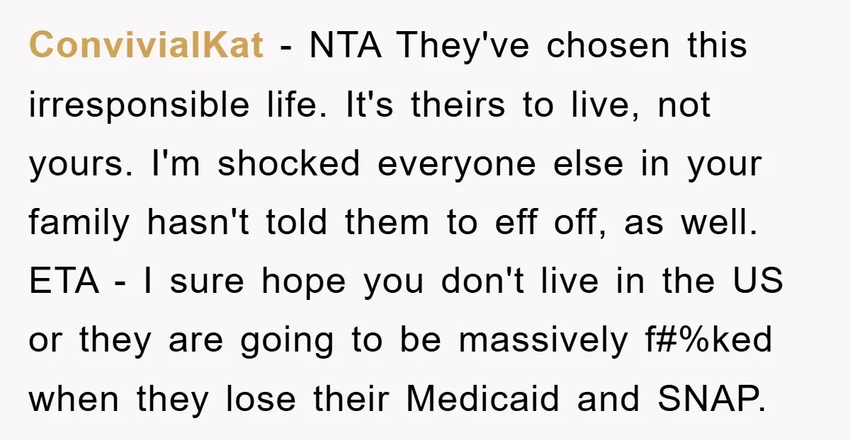 ConvivialKat − NTA They've chosen this irresponsible life. It's theirs to live, not yours. I'm shocked everyone else in your family hasn't told them to eff off, as well. ETA...