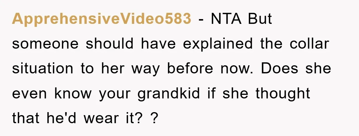 ApprehensiveVideo583 − NTA But someone should have explained the collar situation to her way before now. Does she even know your grandkid if she thought that he'd wear it? ?
