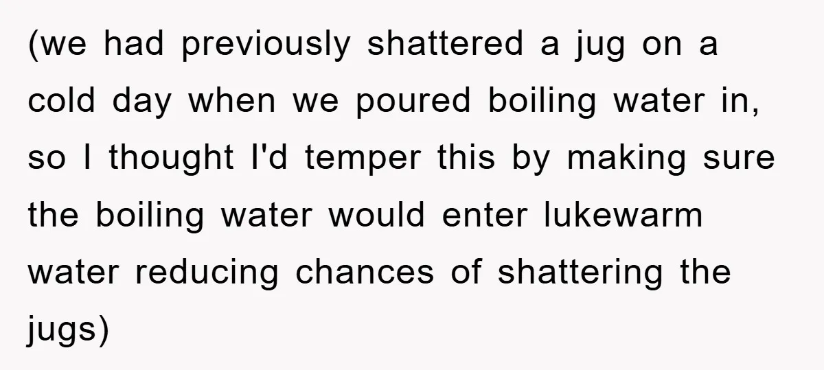 (we had previously shattered a jug on a cold day when we poured boiling water in, so I thought I'd temper this by making sure the boiling water would enter...
