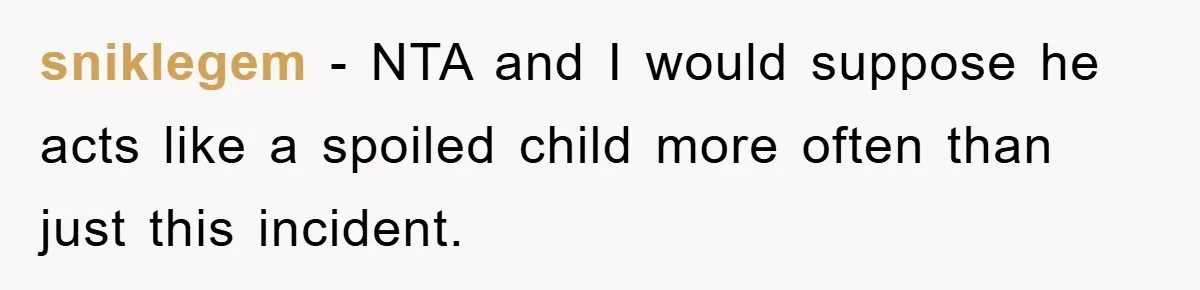 sniklegem − NTA and I would suppose he acts like a spoiled child more often than just this incident.
