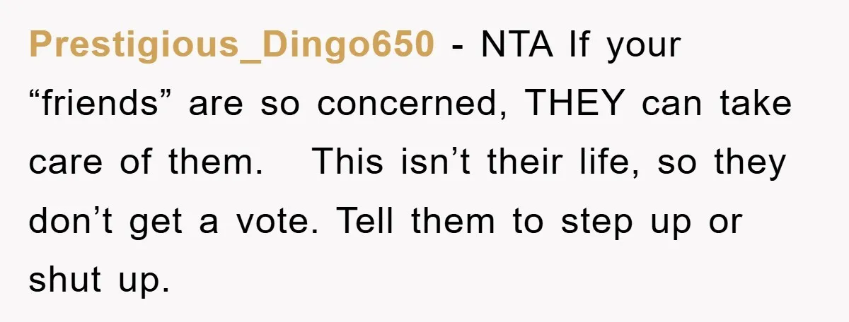 Prestigious_Dingo650 − NTA If your “friends” are so concerned, THEY can take care of them. This isn’t their life, so they don’t get a vote. Tell them to step up...
