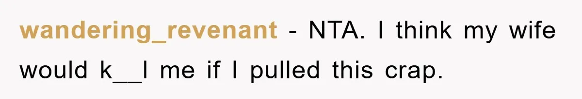 wandering_revenant − NTA. I think my wife would k__l me if I pulled this crap.