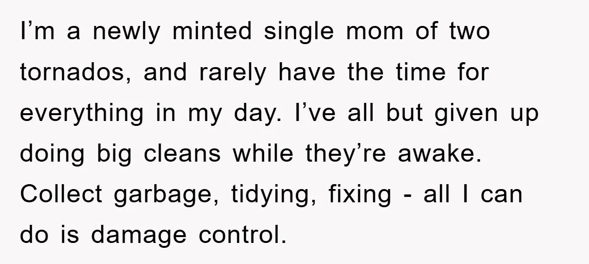 I’m a newly minted single mom of two tornados, and rarely have the time for everything in my day. I’ve all but given up doing big cleans while they’re awake....