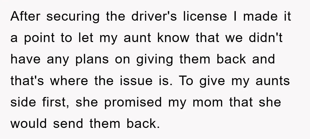 After securing the driver's license I made it a point to let my aunt know that we didn't have any plans on giving them back and that's where the issue...