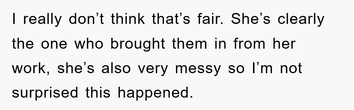 I really don’t think that’s fair. She’s clearly the one who brought them in from her work, she’s also very messy so I’m not surprised this happened.
