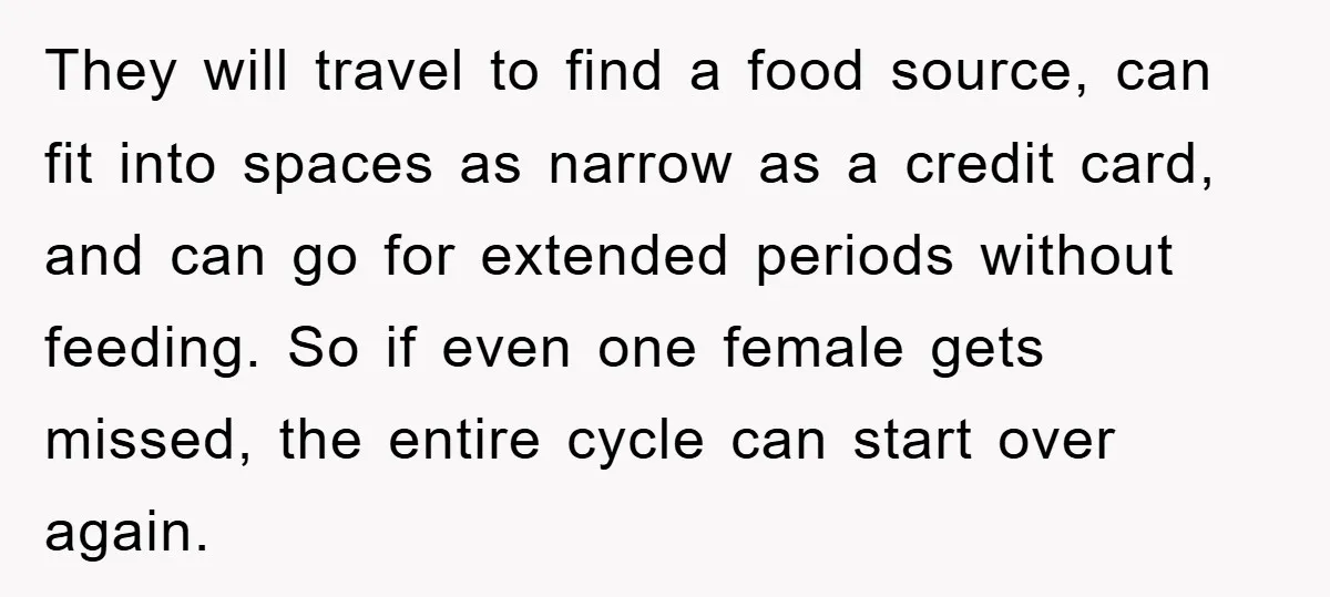 They will travel to find a food source, can fit into spaces as narrow as a credit card, and can go for extended periods without feeding. So if even one...