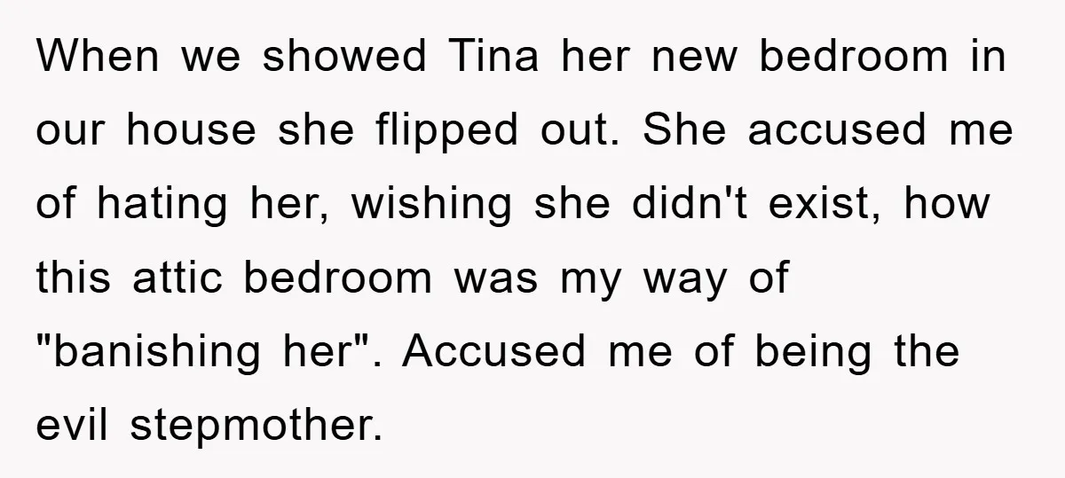 When we showed Tina her new bedroom in our house she flipped out. She accused me of hating her, wishing she didn't exist, how this attic bedroom was my way...