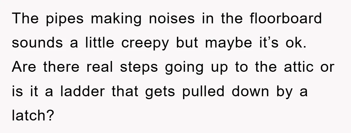 The pipes making noises in the floorboard sounds a little creepy but maybe it’s ok. Are there real steps going up to the attic or is it a ladder that...