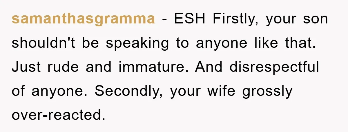 samanthasgramma − ESH Firstly, your son shouldn't be speaking to anyone like that. Just rude and immature. And disrespectful of anyone. Secondly, your wife grossly over-reacted.