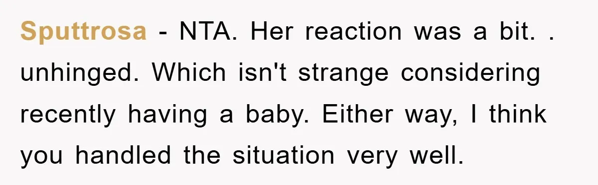Sputtrosa − NTA. Her reaction was a bit. . unhinged. Which isn't strange considering recently having a baby. Either way, I think you handled the situation very well.