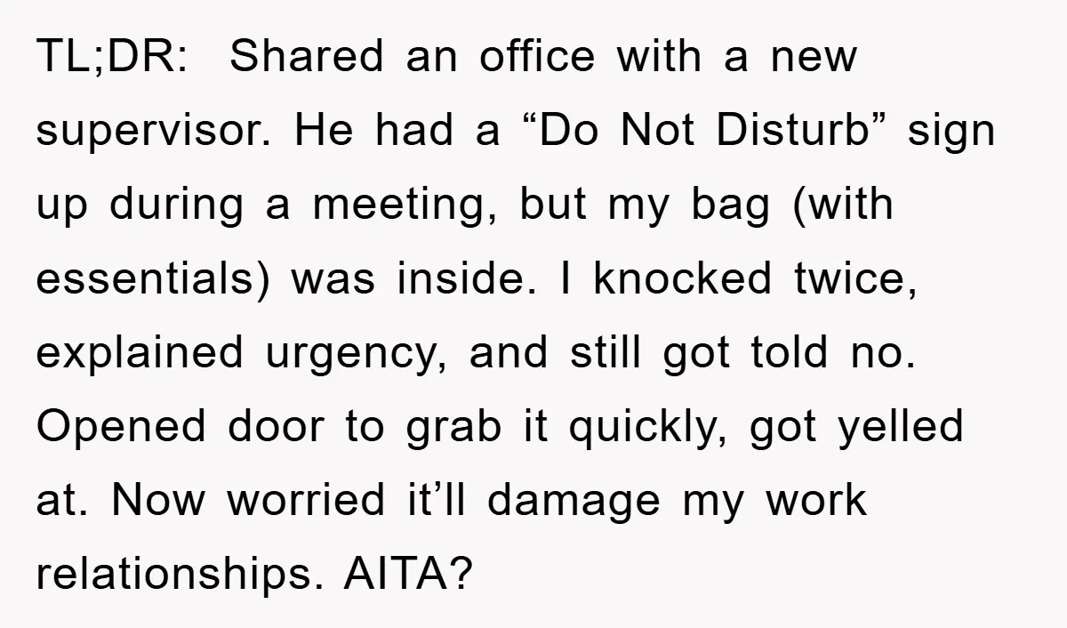 TL;DR: Shared an office with a new supervisor. He had a “Do Not Disturb” sign up during a meeting, but my bag (with essentials) was inside. I knocked twice, explained...