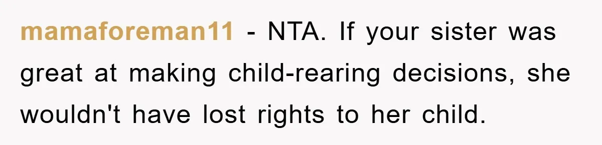 mamaforeman11 − NTA. If your sister was great at making child-rearing decisions, she wouldn't have lost rights to her child.