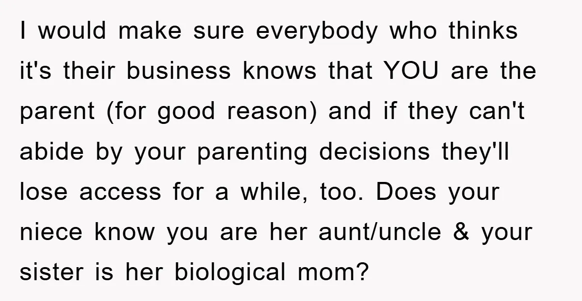 I would make sure everybody who thinks it's their business knows that YOU are the parent (for good reason) and if they can't abide by your parenting decisions they'll lose...