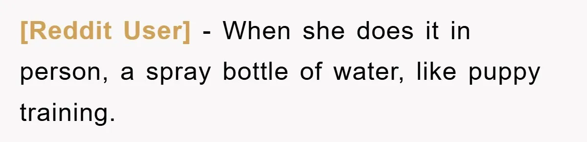 [Reddit User] − When she does it in person, a spray bottle of water, like puppy training.