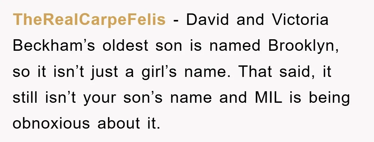 TheRealCarpeFelis − David and Victoria Beckham’s oldest son is named Brooklyn, so it isn’t just a girl’s name. That said, it still isn’t your son’s name and MIL is being...