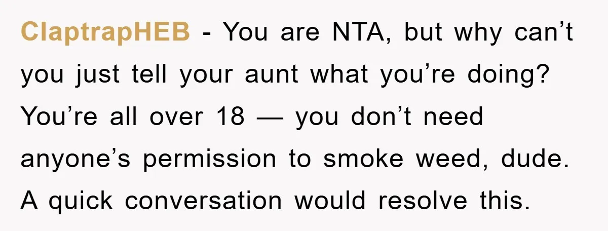 ClaptrapHEB − You are NTA, but why can’t you just tell your aunt what you’re doing? You’re all over 18 — you don’t need anyone’s permission to smoke weed, dude....