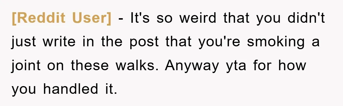 [Reddit User] − It's so weird that you didn't just write in the post that you're smoking a joint on these walks. Anyway yta for how you handled it.