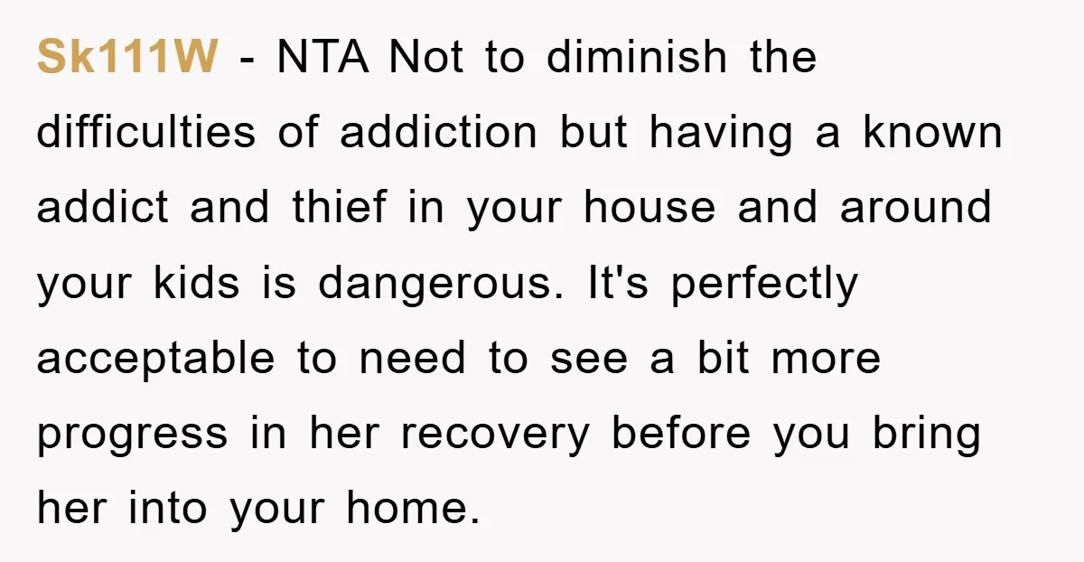 Sk111W − NTA Not to diminish the difficulties of addiction but having a known addict and thief in your house and around your kids is dangerous. It's perfectly acceptable to...
