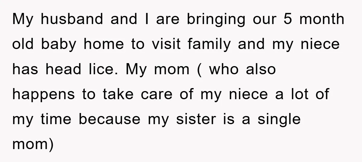 My husband and I are bringing our 5 month old baby home to visit family and my niece has head lice. My mom ( who also happens to take care...
