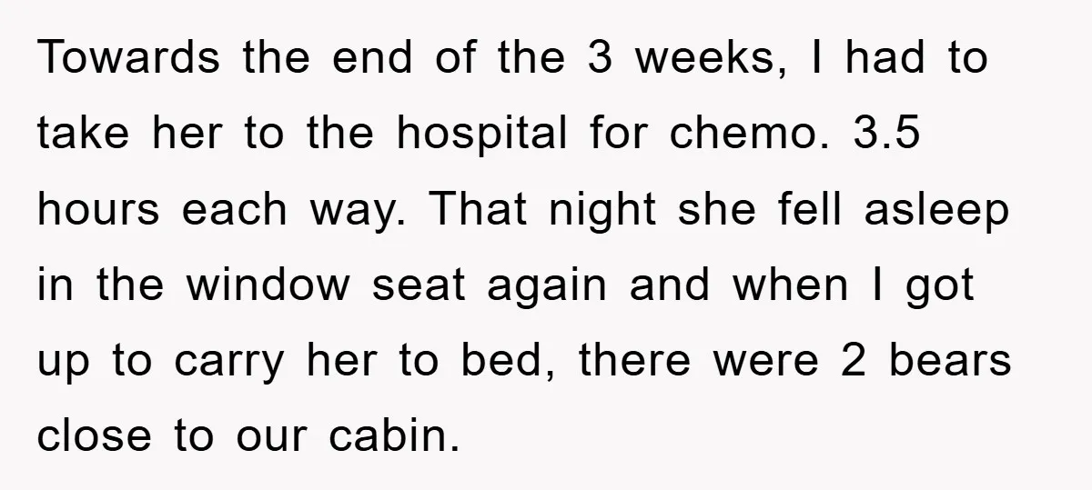 Towards the end of the 3 weeks, I had to take her to the hospital for chemo. 3.5 hours each way. That night she fell asleep in the window seat...