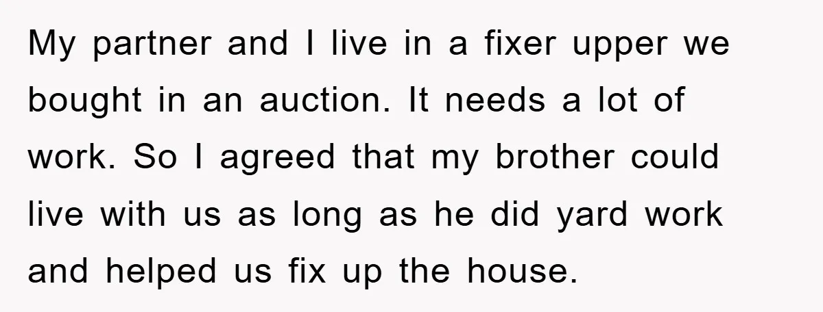 My partner and I live in a fixer upper we bought in an auction. It needs a lot of work. So I agreed that my brother could live with us...
