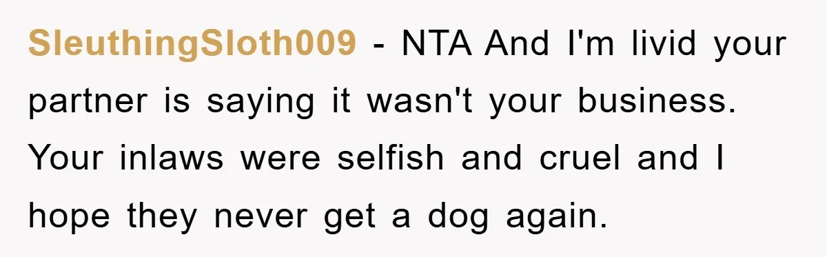 SleuthingSloth009 − NTA And I'm livid your partner is saying it wasn't your business. Your inlaws were selfish and cruel and I hope they never get a dog again.