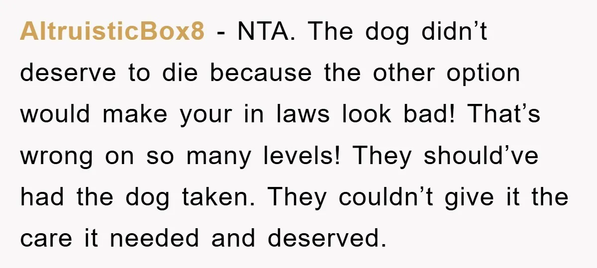 AltruisticBox8 − NTA. The dog didn’t deserve to die because the other option would make your in laws look bad! That’s wrong on so many levels! They should’ve had the...