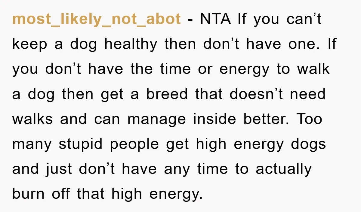 most_likely_not_abot − NTA If you can’t keep a dog healthy then don’t have one. If you don’t have the time or energy to walk a dog then get a breed...