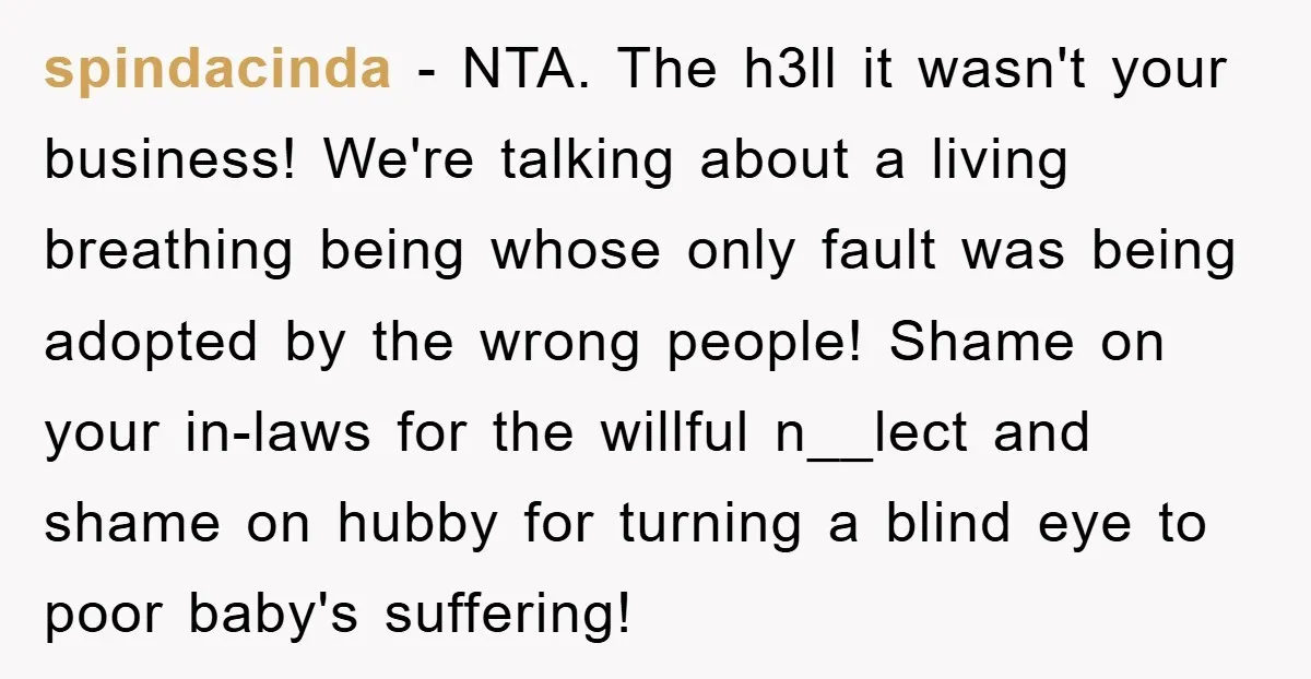 spindacinda − NTA. The h3ll it wasn't your business! We're talking about a living breathing being whose only fault was being adopted by the wrong people! Shame on your in-laws...