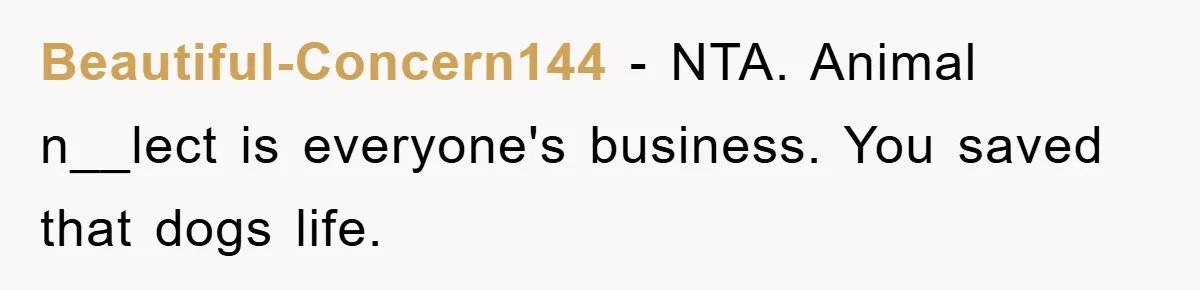 Beautiful-Concern144 − NTA. Animal n__lect is everyone's business. You saved that dogs life.