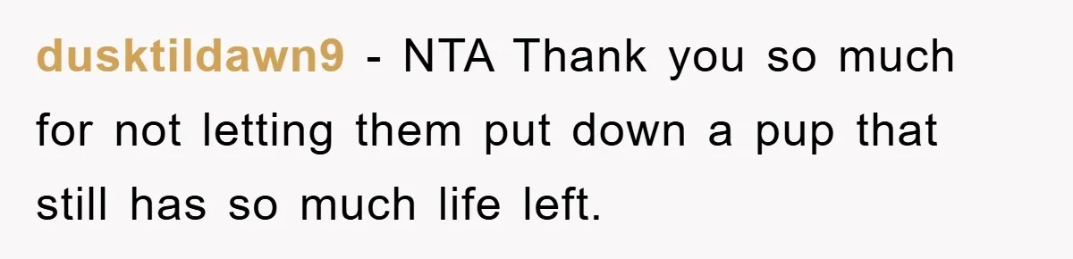 dusktildawn9 − NTA Thank you so much for not letting them put down a pup that still has so much life left.