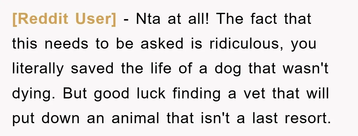 [Reddit User] − Nta at all! The fact that this needs to be asked is ridiculous, you literally saved the life of a dog that wasn't dying. But good luck...