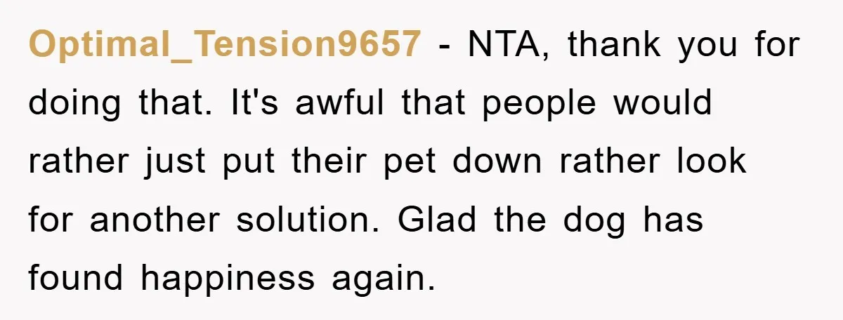 Optimal_Tension9657 − NTA, thank you for doing that. It's awful that people would rather just put their pet down rather look for another solution. Glad the dog has found happiness...