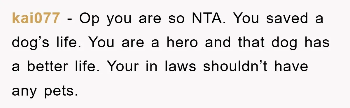 kai077 − Op you are so NTA. You saved a dog’s life. You are a hero and that dog has a better life. Your in laws shouldn’t have any pets.