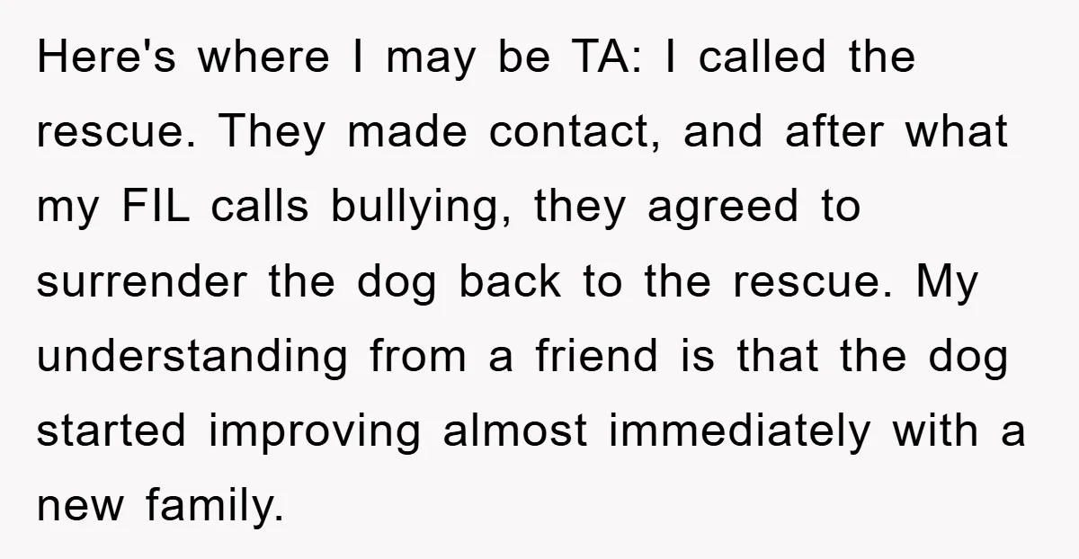 Here's where I may be TA: I called the rescue. They made contact, and after what my FIL calls bullying, they agreed to surrender the dog back to the rescue....