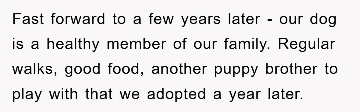 Fast forward to a few years later - our dog is a healthy member of our family. Regular walks, good food, another puppy brother to play with that we adopted...