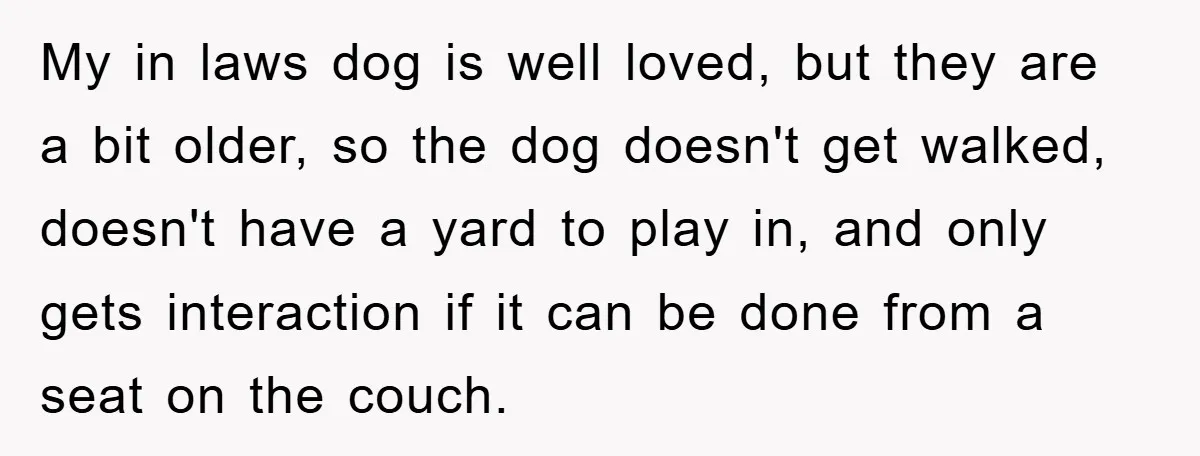 My in laws dog is well loved, but they are a bit older, so the dog doesn't get walked, doesn't have a yard to play in, and only gets interaction...
