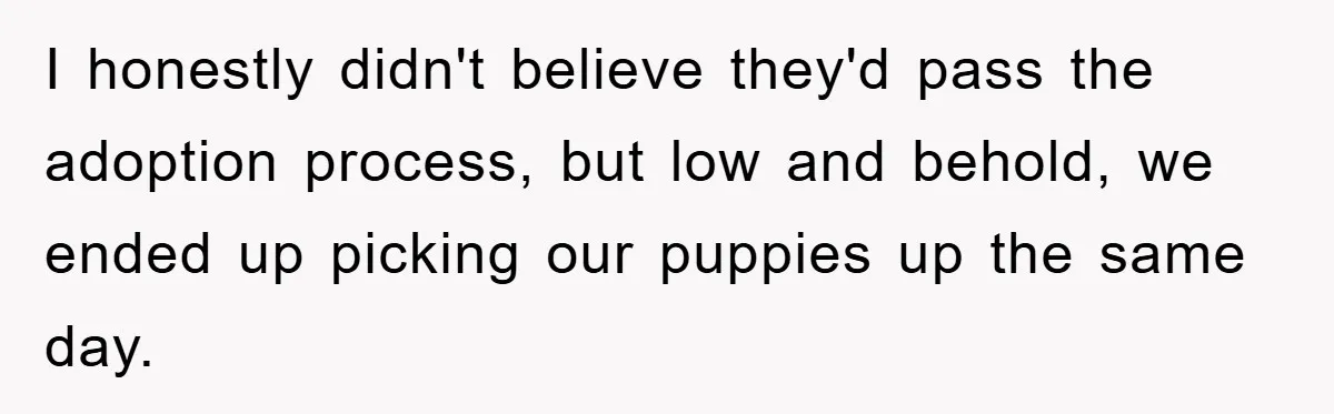 I honestly didn't believe they'd pass the adoption process, but low and behold, we ended up picking our puppies up the same day.