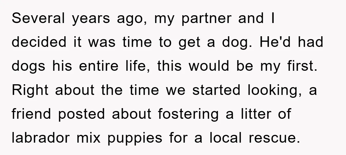 Several years ago, my partner and I decided it was time to get a dog. He'd had dogs his entire life, this would be my first. Right about the time...