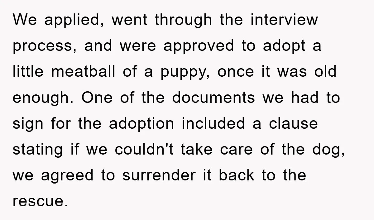 We applied, went through the interview process, and were approved to adopt a little meatball of a puppy, once it was old enough. One of the documents we had to...