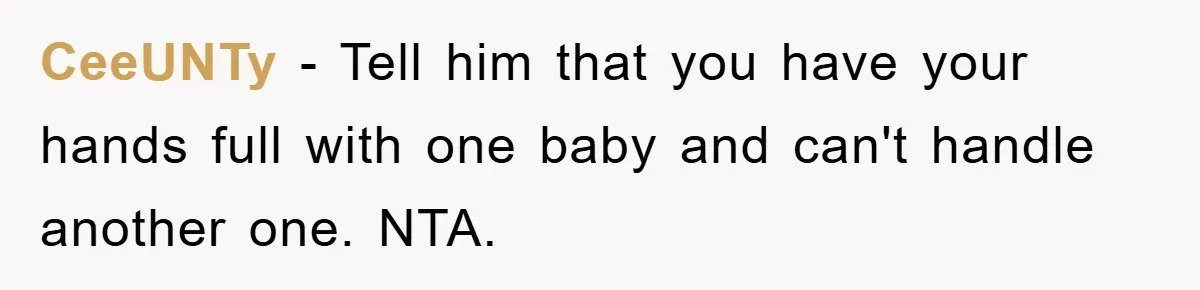 CeeUNTy − Tell him that you have your hands full with one baby and can't handle another one. NTA.