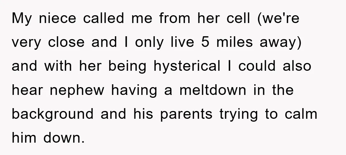 My niece called me from her cell (we're very close and I only live 5 miles away) and with her being hysterical I could also hear nephew having a meltdown...