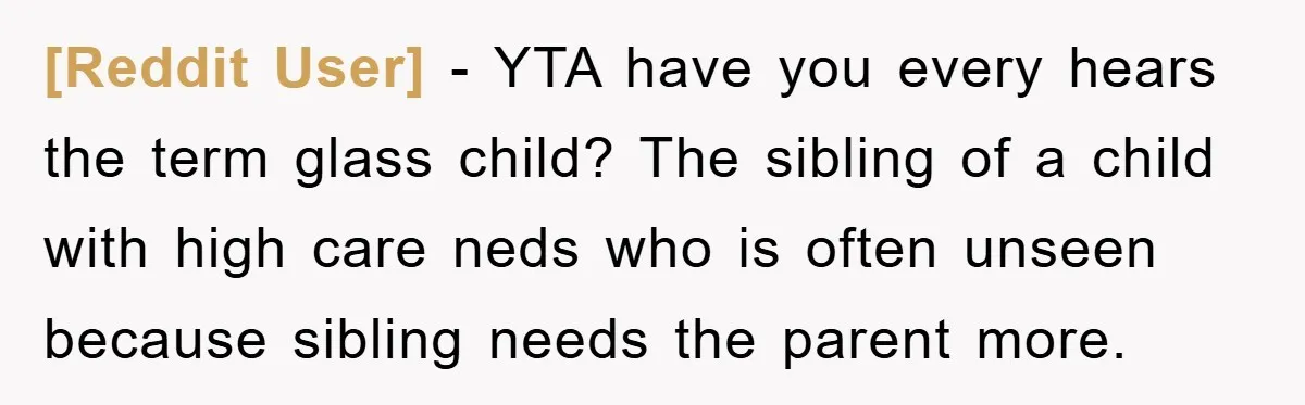 [Reddit User] − YTA have you every hears the term glass child? The sibling of a child with high care neds who is often unseen because sibling needs the parent...