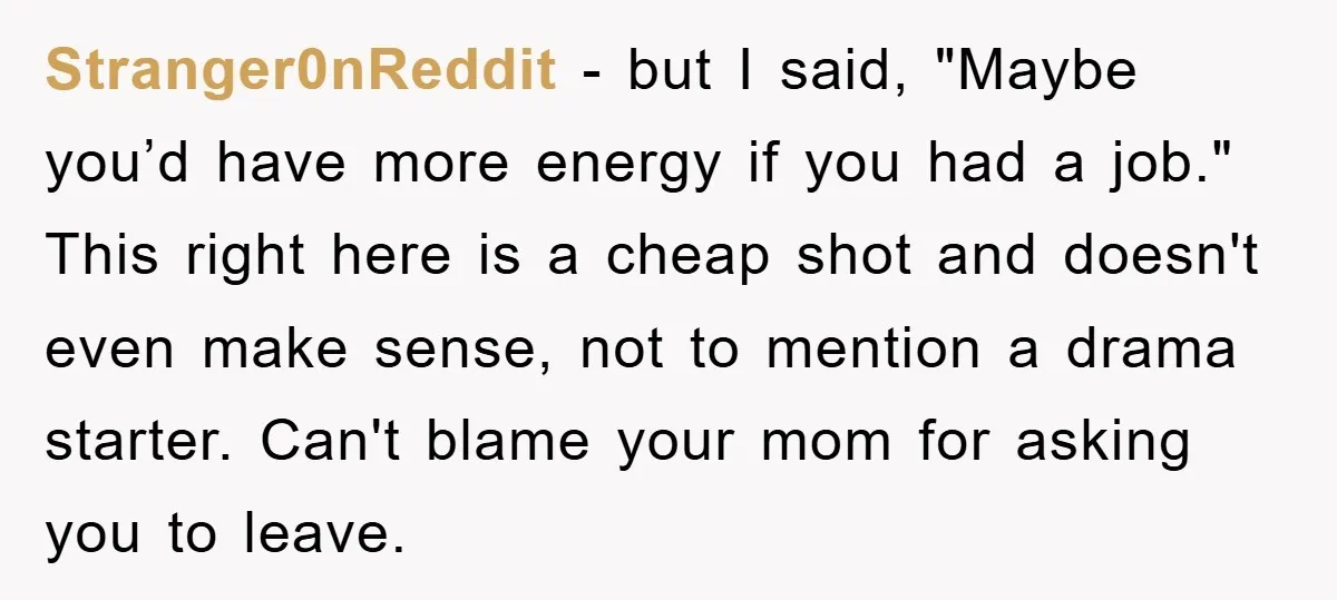 Stranger0nReddit − but I said, "Maybe you’d have more energy if you had a job." This right here is a cheap shot and doesn't even make sense, not to mention...