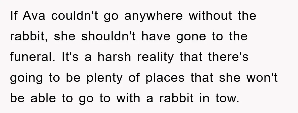 If Ava couldn't go anywhere without the rabbit, she shouldn't have gone to the funeral. It's a harsh reality that there's going to be plenty of places that she won't...